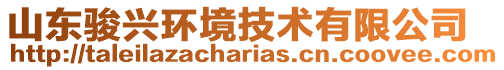 山東駿興環(huán)境技術(shù)有限公司