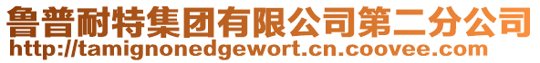 魯普耐特集團有限公司第二分公司
