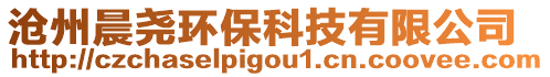 滄州晨堯環保科技有限公司