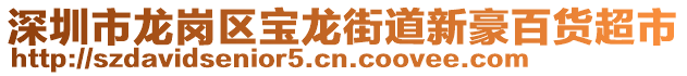 深圳市龍崗區(qū)寶龍街道新豪百貨超市