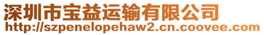 深圳市寶益運輸有限公司
