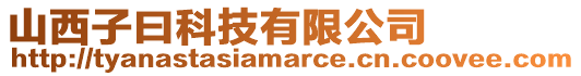 山西子曰科技有限公司