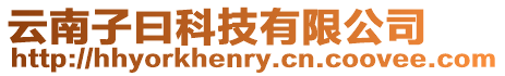 云南子曰科技有限公司