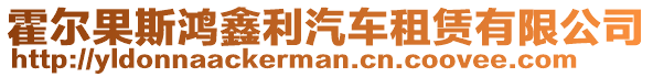 霍爾果斯鴻鑫利汽車租賃有限公司