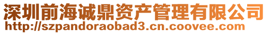 深圳前海誠鼎資產管理有限公司