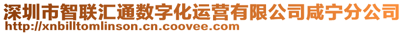 深圳市智聯匯通數字化運營有限公司咸寧分公司
