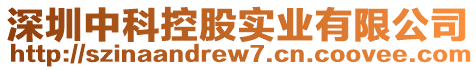 深圳中科控股實業有限公司