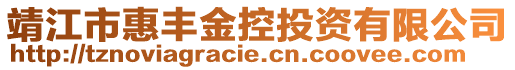 靖江市惠豐金控投資有限公司