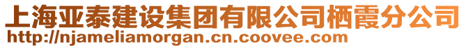 上海亞泰建設(shè)集團(tuán)有限公司棲霞分公司