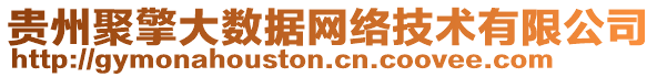 貴州聚擎大數(shù)據(jù)網(wǎng)絡(luò)技術(shù)有限公司