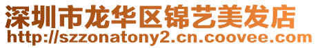 深圳市龍華區(qū)錦藝美發(fā)店