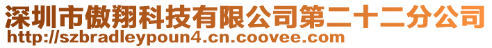 深圳市傲翔科技有限公司第二十二分公司