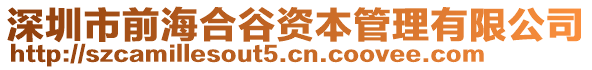 深圳市前海合谷資本管理有限公司