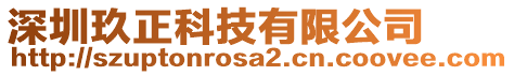 深圳玖正科技有限公司