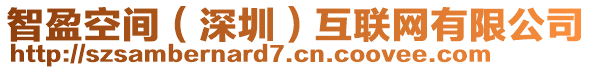 智盈空間（深圳）互聯(lián)網(wǎng)有限公司