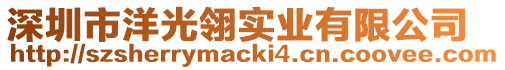 深圳市洋光翎實業有限公司