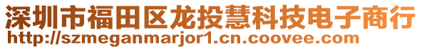 深圳市福田區(qū)龍投慧科技電子商行