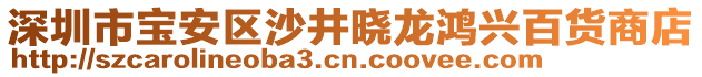 深圳市寶安區(qū)沙井曉龍鴻興百貨商店