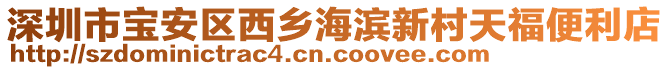 深圳市寶安區(qū)西鄉(xiāng)海濱新村天福便利店