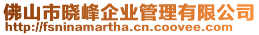 佛山市曉峰企業(yè)管理有限公司