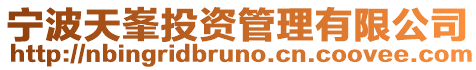 寧波天峯投資管理有限公司