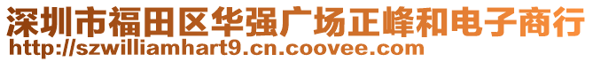 深圳市福田區(qū)華強(qiáng)廣場正峰和電子商行