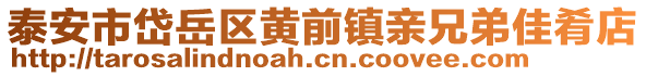 泰安市岱岳區黃前鎮親兄弟佳肴店