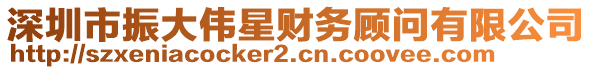 深圳市振大偉星財(cái)務(wù)顧問(wèn)有限公司