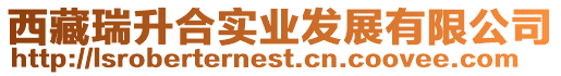 西藏瑞升合實業發展有限公司