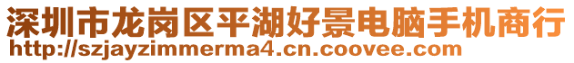 深圳市龍崗區(qū)平湖好景電腦手機商行