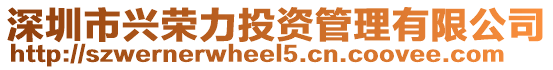 深圳市興榮力投資管理有限公司