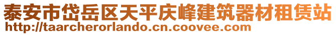 泰安市岱岳區(qū)天平慶峰建筑器材租賃站