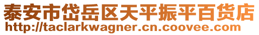 泰安市岱岳區(qū)天平振平百貨店