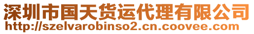 深圳市國天貨運代理有限公司