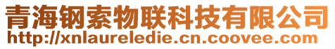 青海鋼索物聯科技有限公司