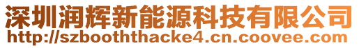 深圳潤輝新能源科技有限公司