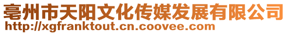 亳州市天陽文化傳媒發展有限公司