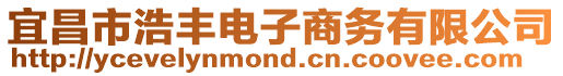 宜昌市浩豐電子商務(wù)有限公司