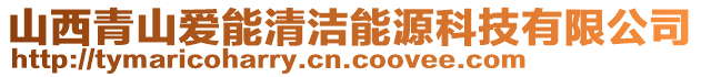 山西青山愛能清潔能源科技有限公司