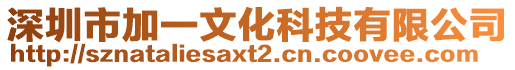 深圳市加一文化科技有限公司