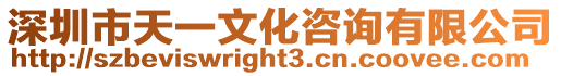 深圳市天一文化咨詢有限公司