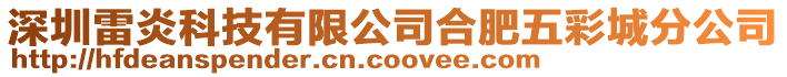 深圳雷炎科技有限公司合肥五彩城分公司