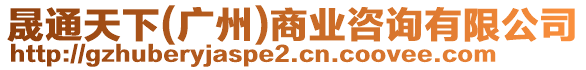 晟通天下(廣州)商業咨詢有限公司