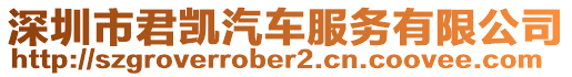 深圳市君凱汽車服務有限公司