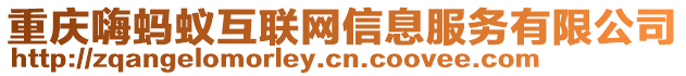 重慶嗨螞蟻互聯網信息服務有限公司