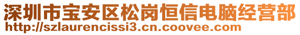 深圳市寶安區松崗恒信電腦經營部