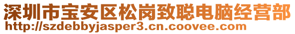 深圳市寶安區松崗致聰電腦經營部