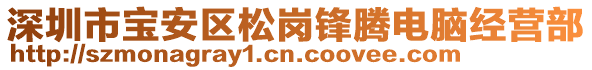 深圳市寶安區松崗鋒騰電腦經營部