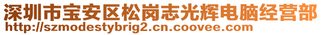 深圳市寶安區松崗志光輝電腦經營部