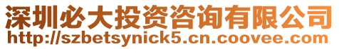 深圳必大投資咨詢有限公司